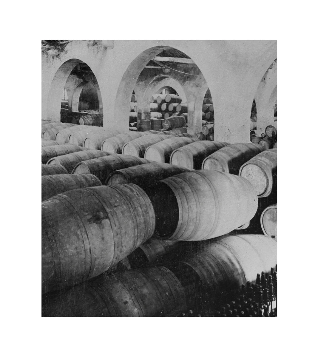 Quinta da Fonte de Souto
