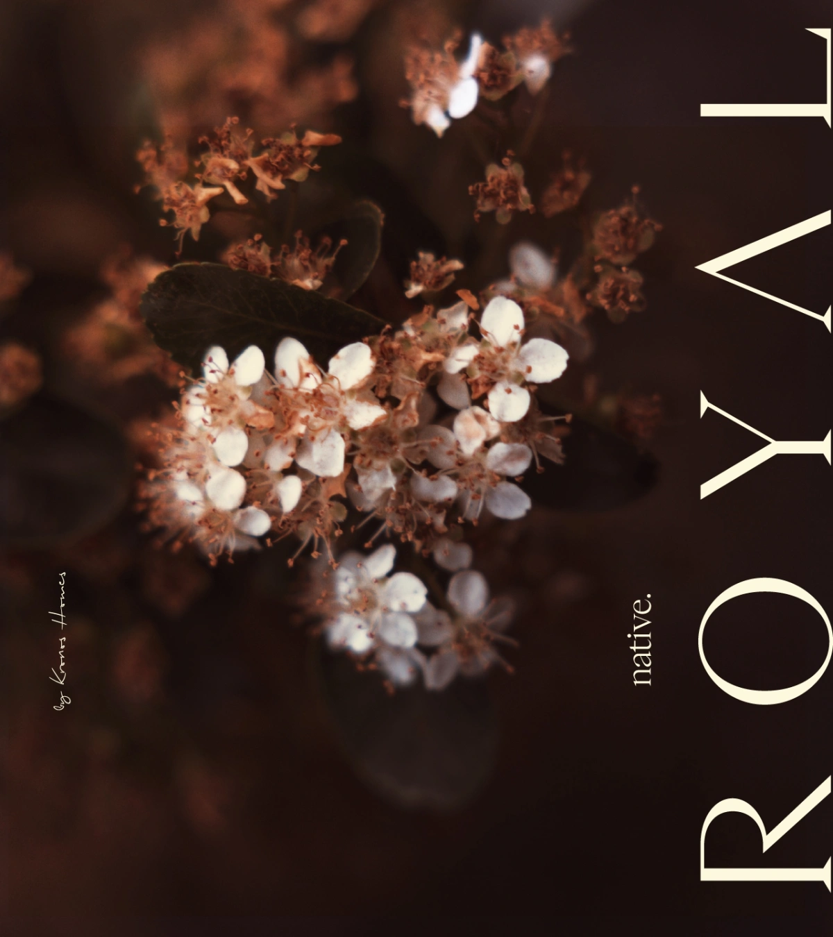 Native Royal