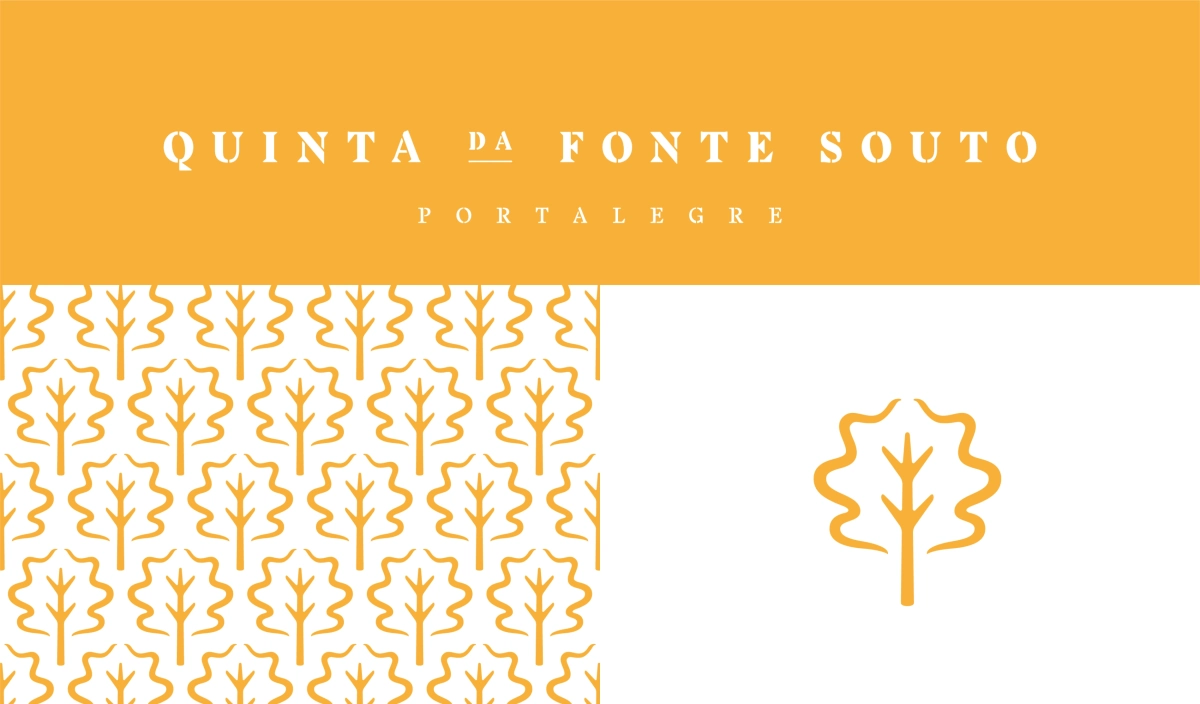 Quinta da Fonte de Souto