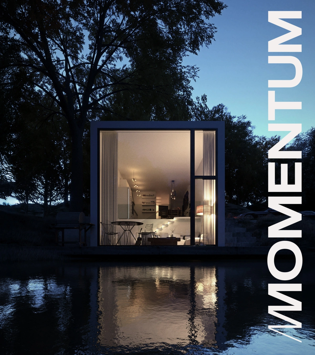 Momentum