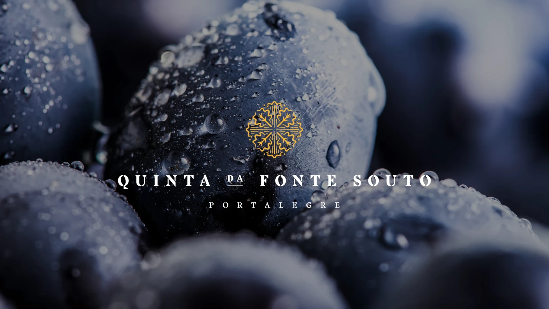 Quinta da Fonte de Souto