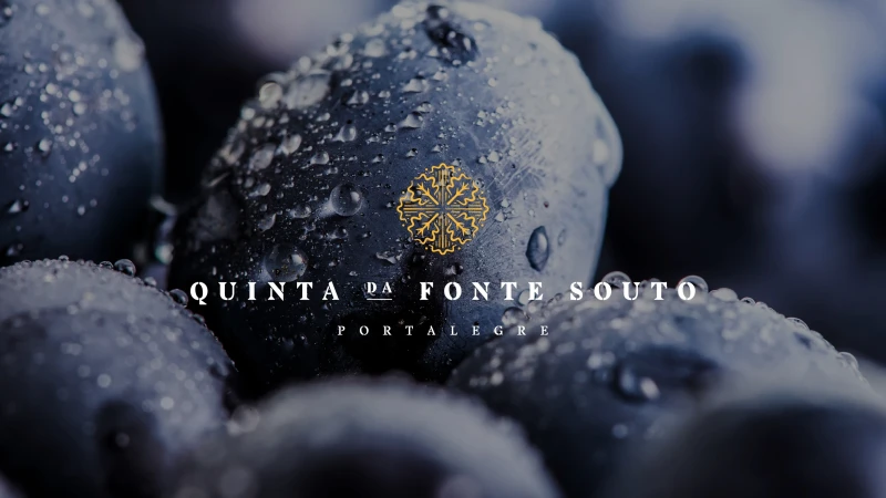 Quinta da Fonte de Souto